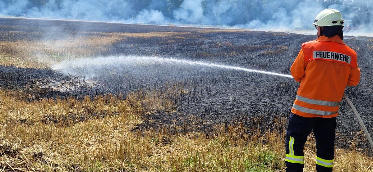 Seershausen Stoppelfeldbrand Seershausen Stoppelfeldbrand