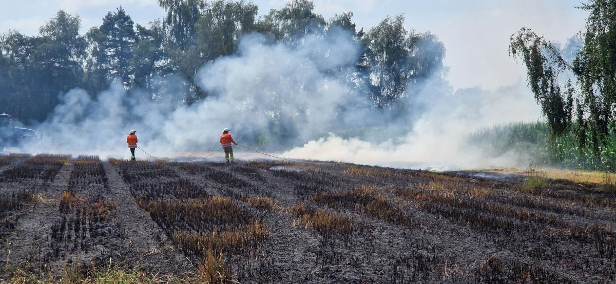 Seershausen Stoppelfeldbrand