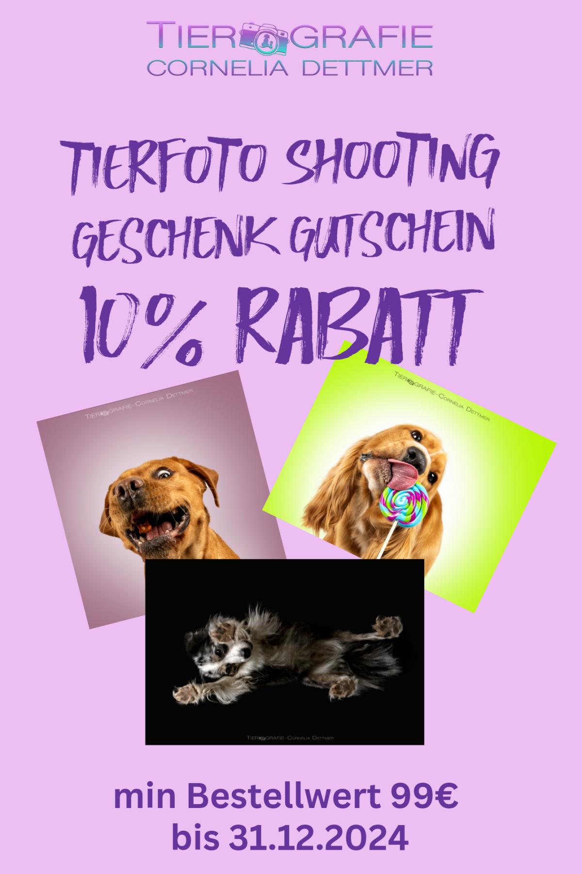 CD-Tierfotografie 10 % Rabatt auf Geschenk-Gutscheine