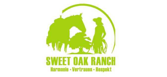 Lichterritt/ Kutschfahrt am 1.Advent 2025 in Seershausen und Meinersen Lichterritt/ Kutschfahrt am 1.Advent 2025 in Seershausen und Meinersen