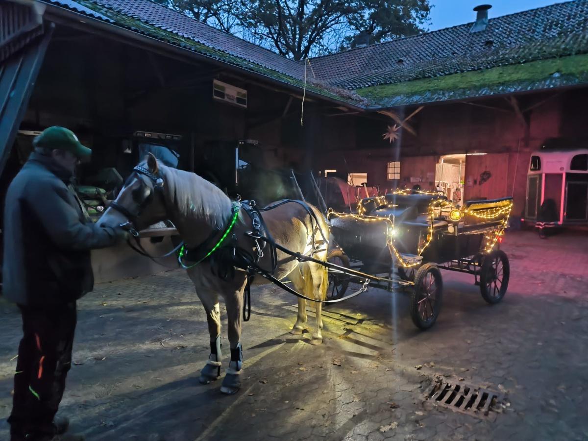 Lichterritt/ Kutschfahrt am 1.Advent 2025 in Seershausen und Meinersen Lichterritt/ Kutschfahrt am 1.Advent 2025 in Seershausen und Meinersen