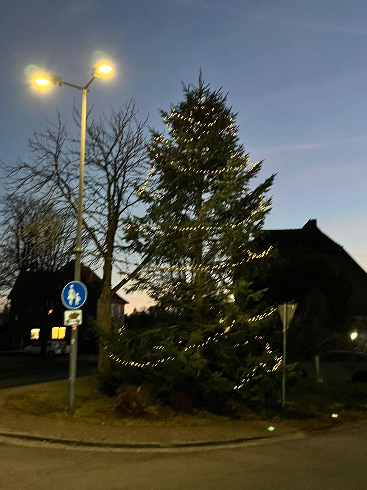 MGV Seershausen begeistert mit Weihnachtskonzert unter dem Baum – Gelungene Generalprobe für den Auftritt auf dem Gifhorner Weihnachtsmarkt