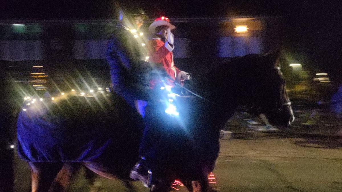 Lichterritt & Kutschfahrt durch die Gemeinde Meinersen Lichterritt & Kutschfahrt durch die Gemeinde Meinersen