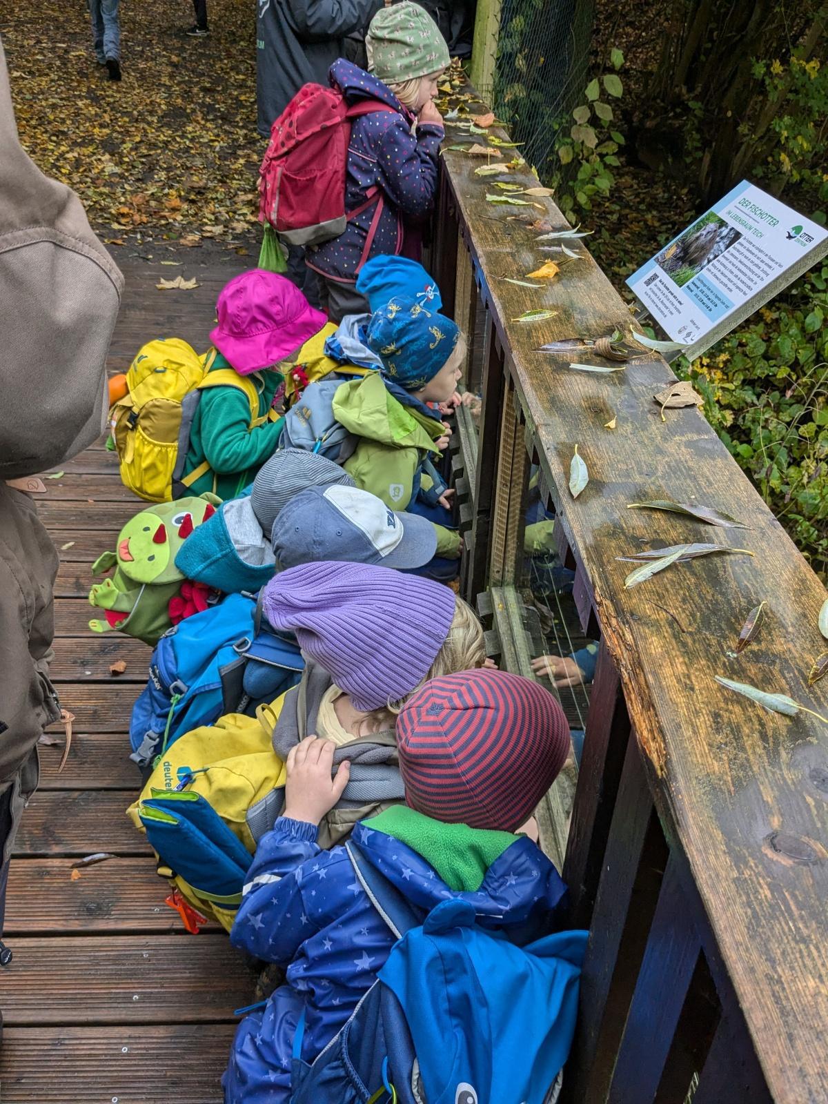 Abenteuer im Otterzentrum: Die Heidebären und Heidefüchse auf Entdeckungsreise