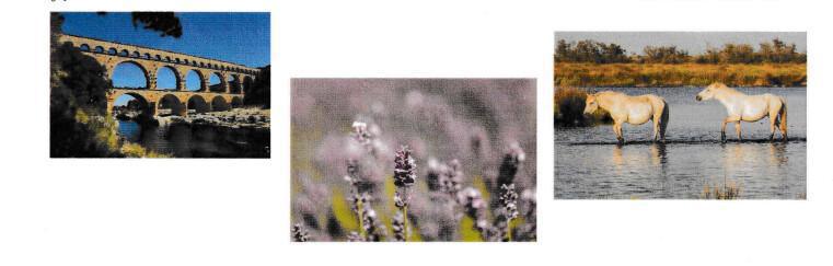 Reiseankündigung der Landfrauen Meinersen und Umgebung