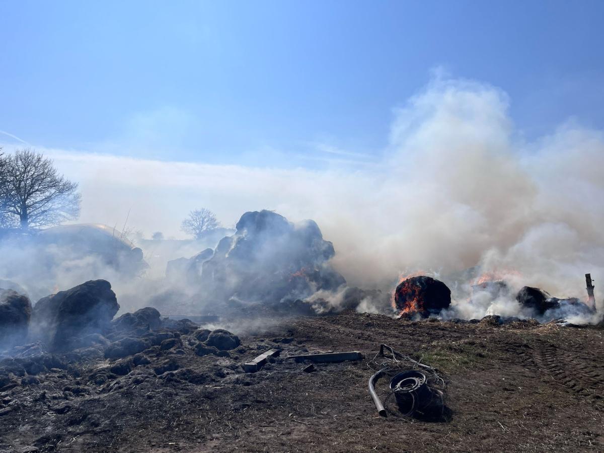 đ„ GroĂbrand in EttenbĂŒttel: 180 Rundballen Heu und Stroh in Flammen â 120 EinsatzkrĂ€fte vor Ort! đ đ„ GroĂbrand in EttenbĂŒttel: 180 Rundballen Heu und Stroh in Flammen â 120 EinsatzkrĂ€fte vor Ort! đ