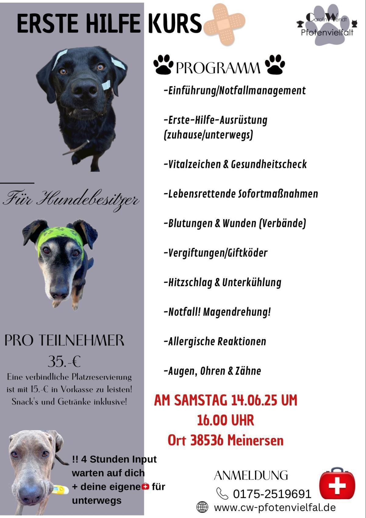 🦴🐕‍🦺 Notfallwissen für Hundebesitzer: Erste-Hilfe-Kurs am 14. Juni in Meinersen! 📆