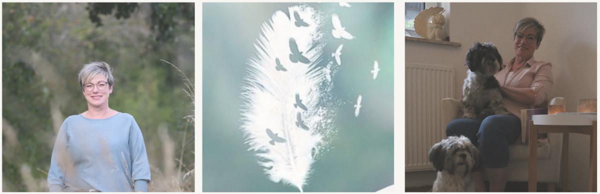 Energie erleben. Kraft tanken & zur inneren Balance finden – mit Reiki, Meditation & Verbindung.