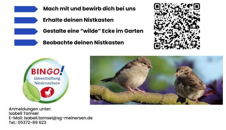 Umweltprojekt „Kisten zum Nisten“