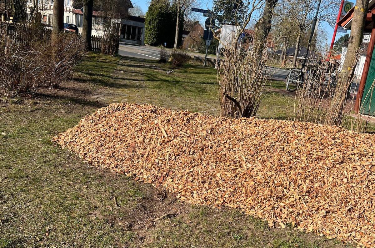 SEK Seershausen räumt auf SEK Seershausen räumt auf