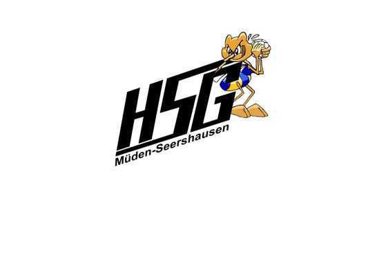 HSG Müden-Seershausen Herren - Danke für eure Unterstützung – Meisterschaft mit +100 Toren!