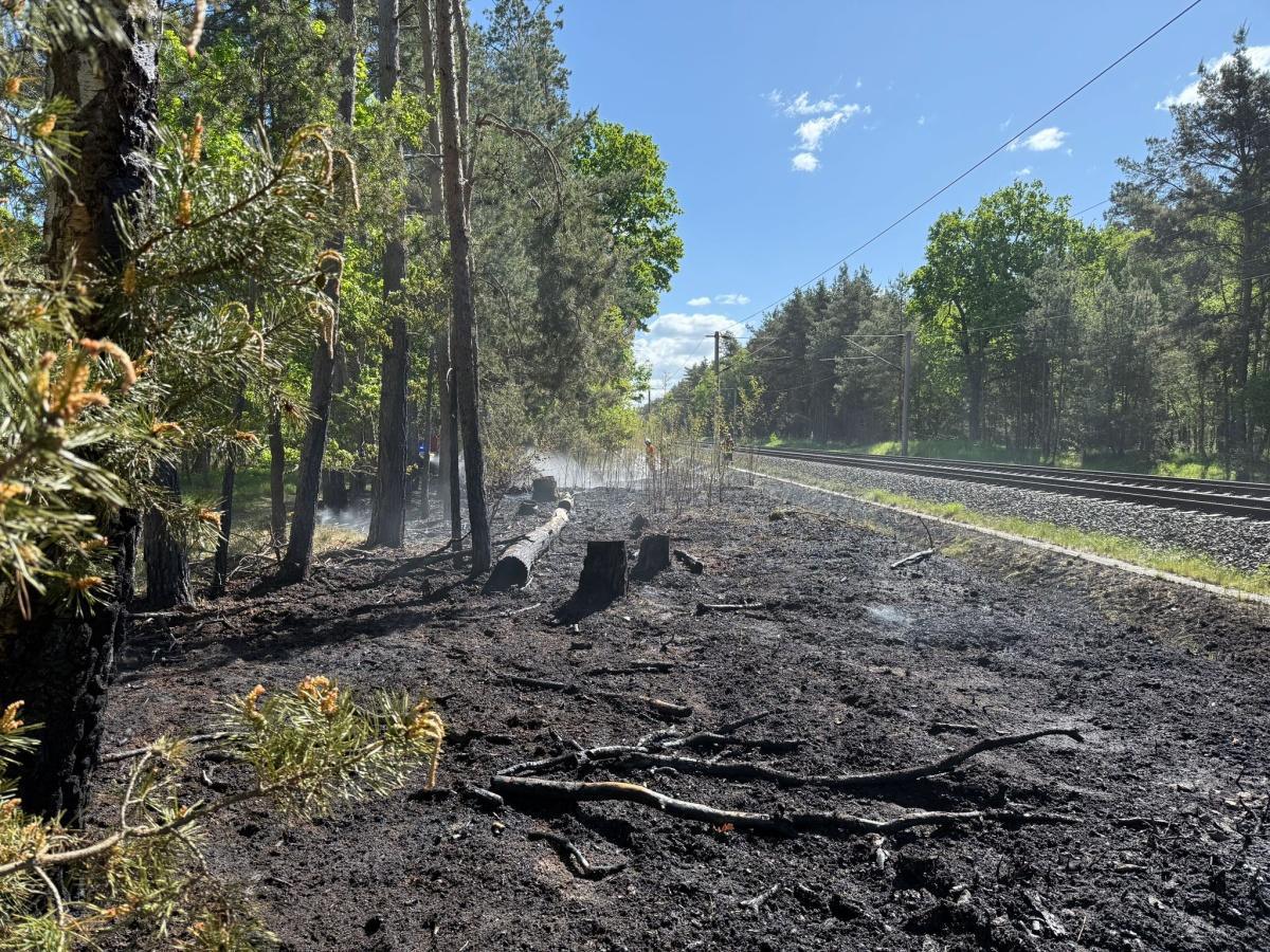 Flächenbrände bei Leiferde: Bahnstrecke Meinersen–Gifhorn am Vormittag gesperrt – 80 Einsatzkräfte vor Ort Flächenbrände bei Leiferde: Bahnstrecke Meinersen–Gifhorn am Vormittag gesperrt – 80 Einsatzkräfte vor Ort