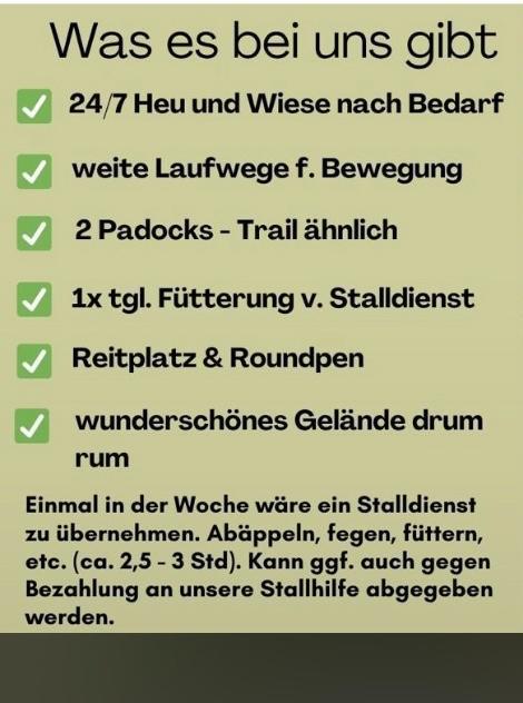 Offenstall - 1 Wallach Platz frei