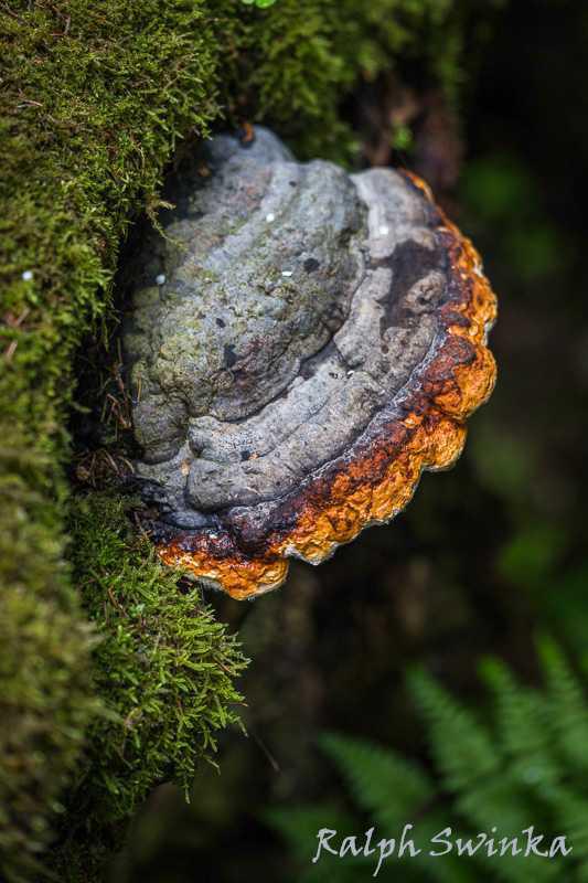 Neue Fotos vom "Forum für Fotografie" Neue Fotos vom "Forum für Fotografie"