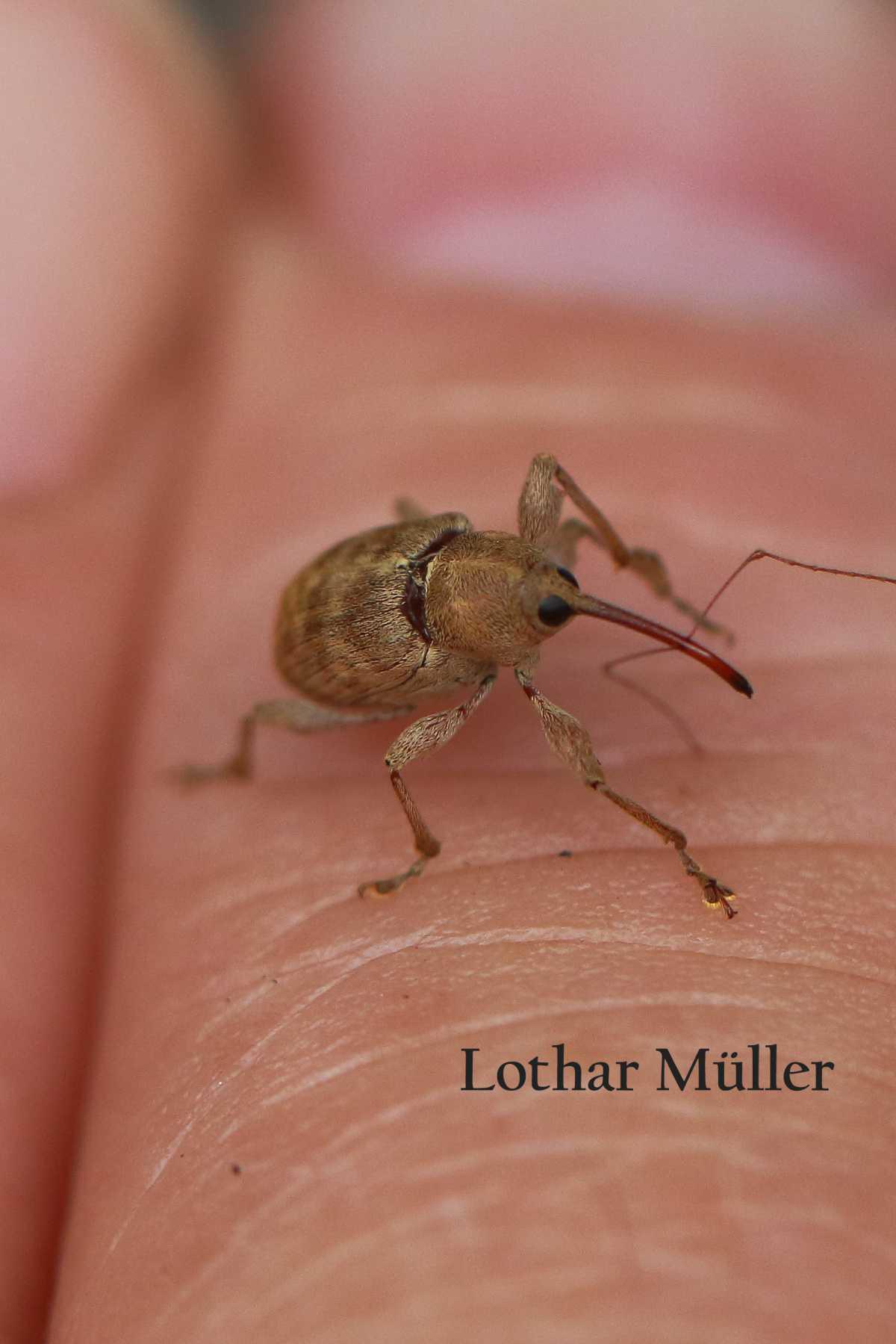 Neue Fotos vom "Forum für Fotografie" Neue Fotos vom "Forum für Fotografie"