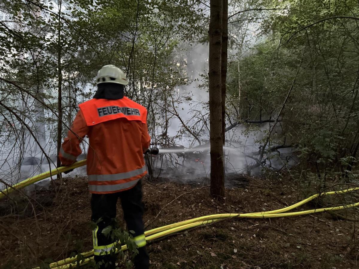 Waldbrand in Müden