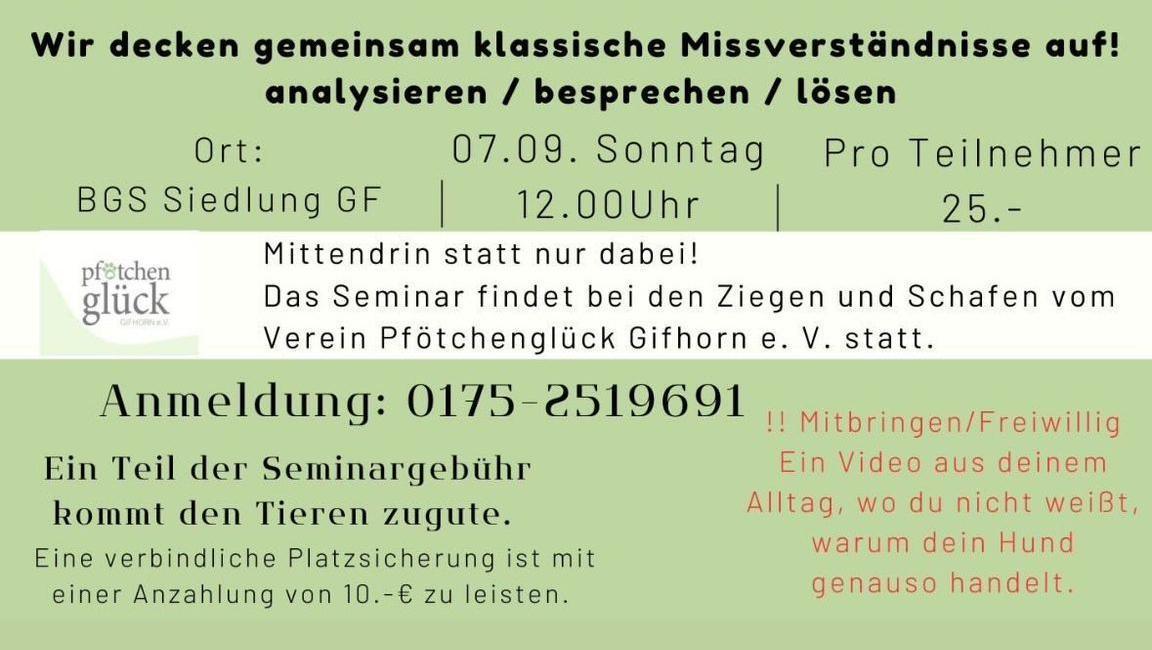 🐶🤝👩‍🦰 Missverständnisse zwischen Hund & Mensch – Das einzigartige Seminar in tierischer Atmosphäre 🐾🌿✨