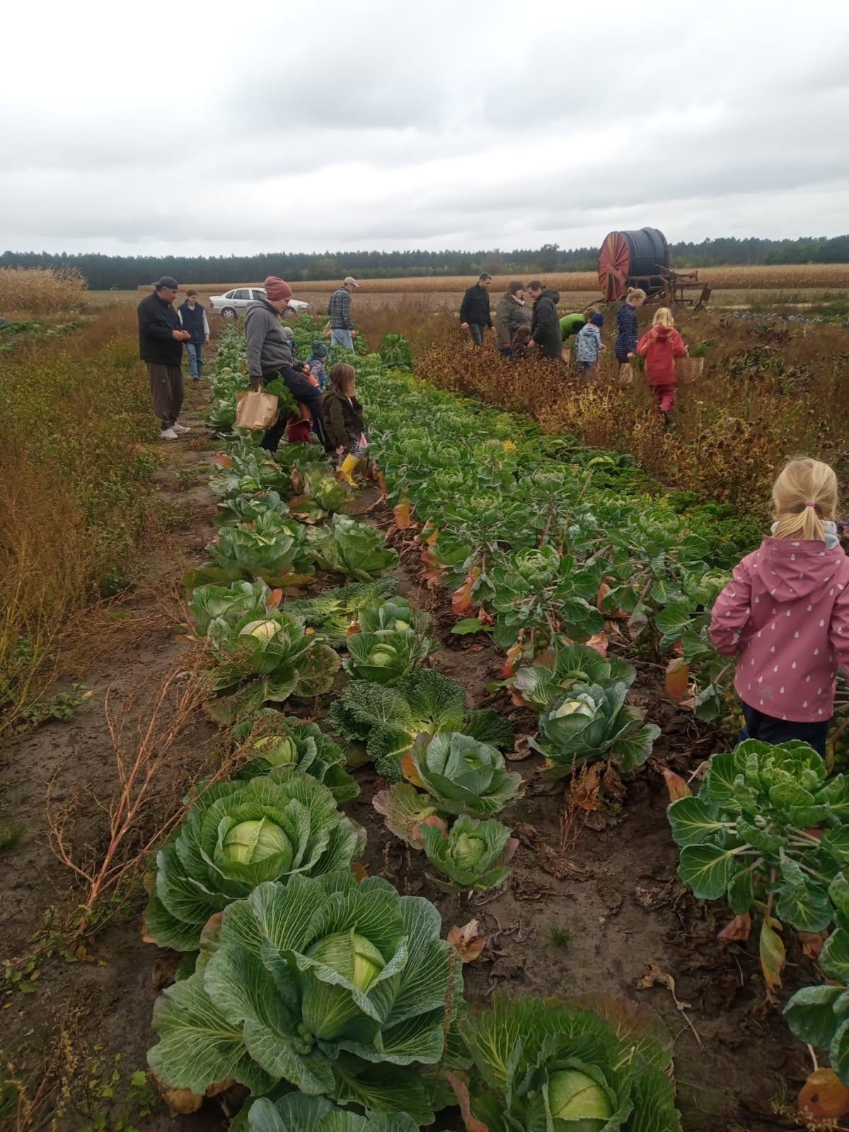 Herbstferienaktionen der Dorfgemeinschaft Ettenbüttel e. V. Herbstferienaktionen der Dorfgemeinschaft Ettenbüttel e. V.