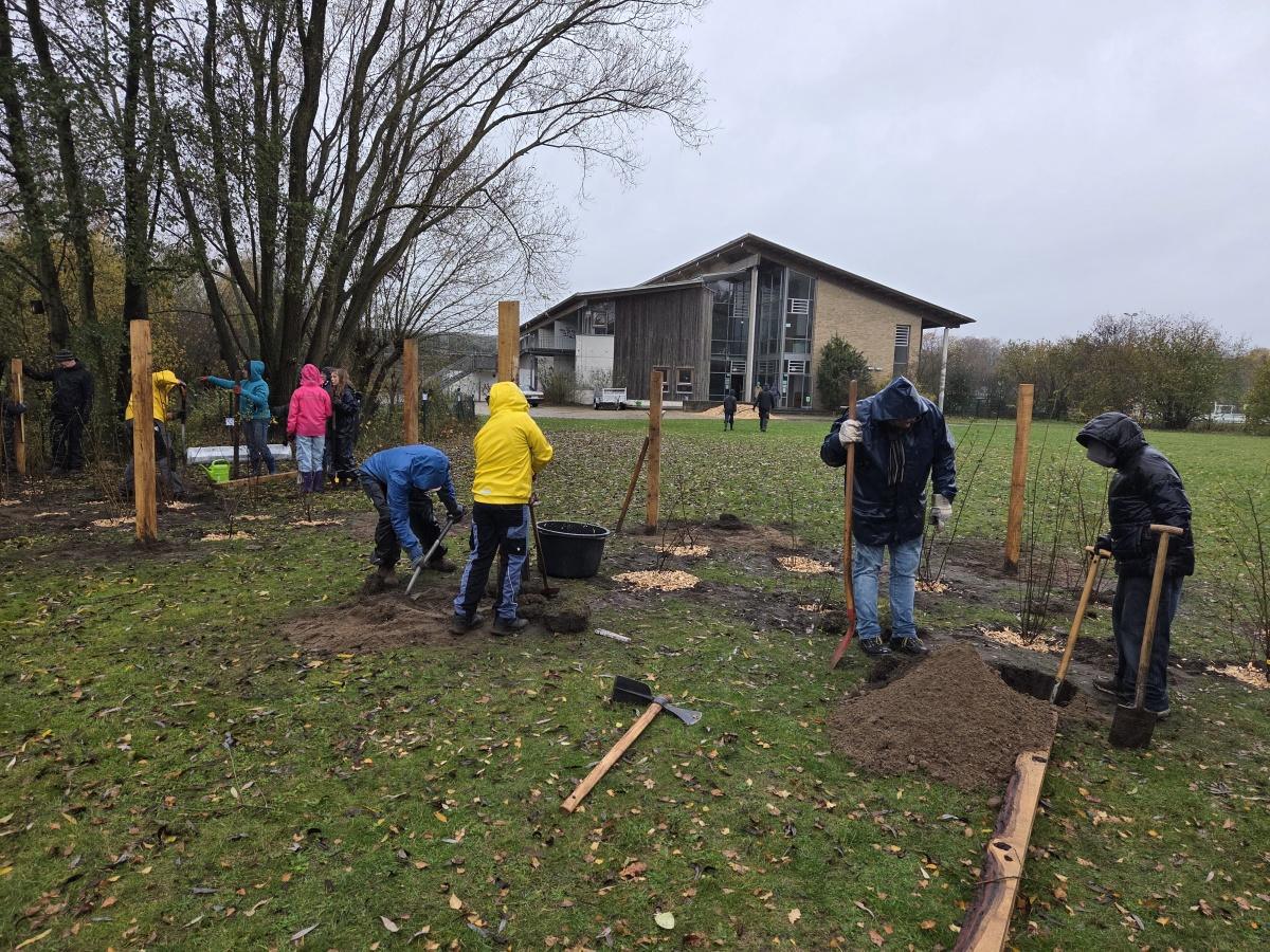 Gemeinsame Pflanzaktion für das „Minidrachenland“