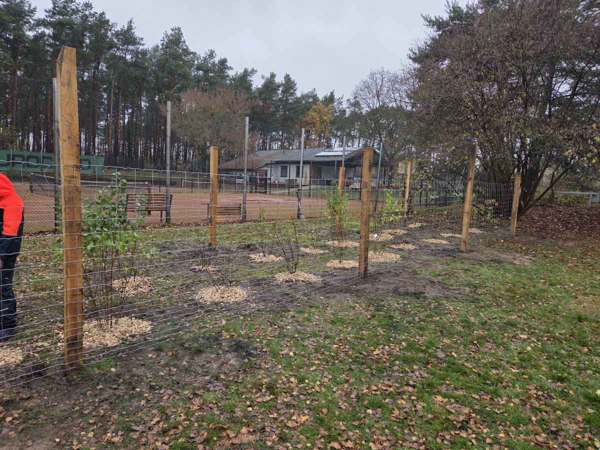 Gemeinsame Pflanzaktion für das „Minidrachenland“