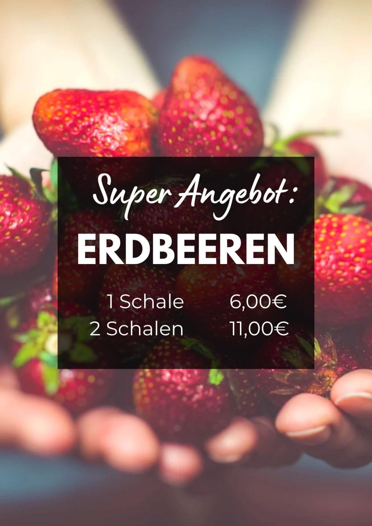 Hof Armbrecht - Unsere Angebote der Woche