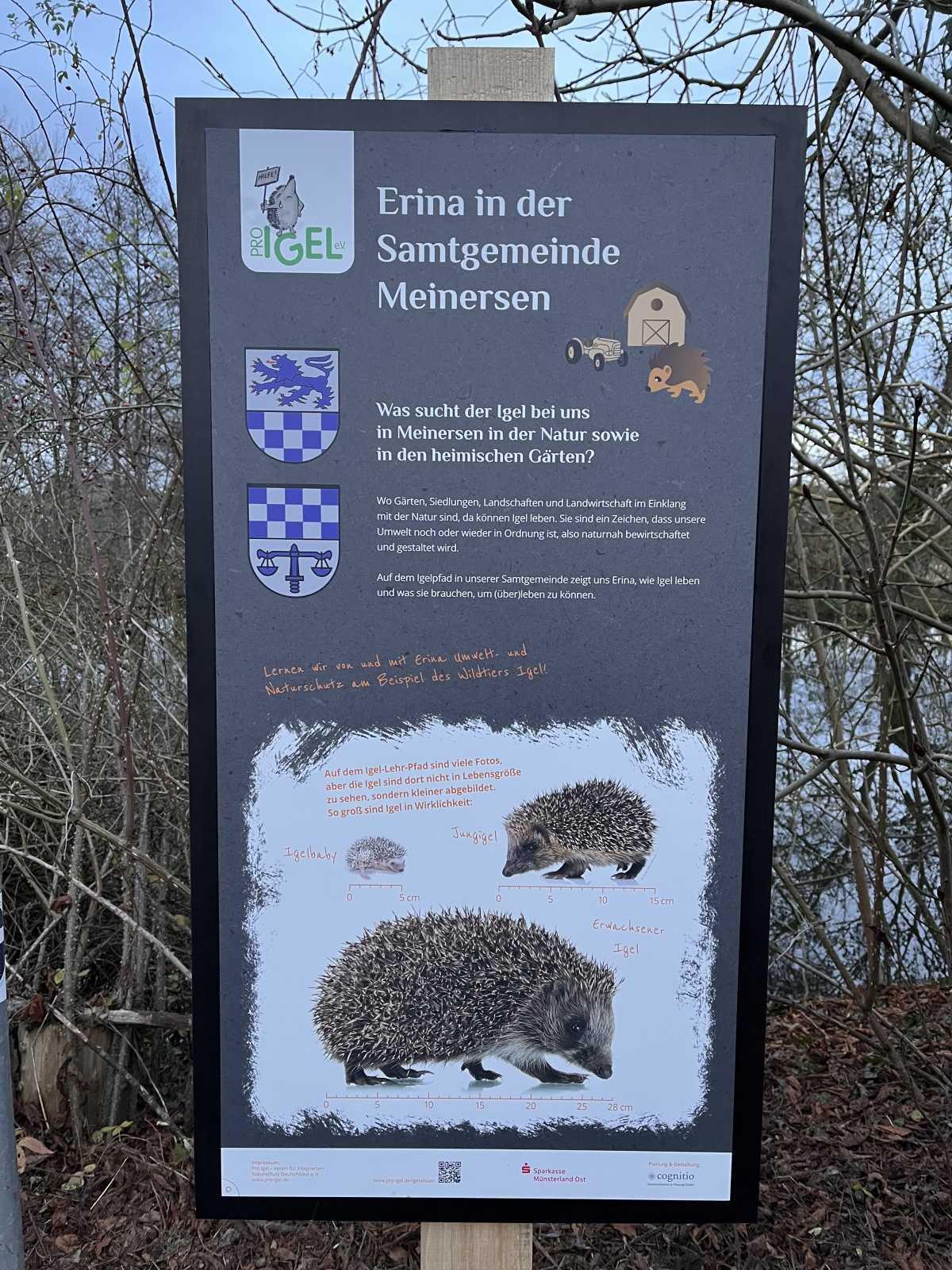 Einweihung des Igel-Lehr- und Lernpfads: Kleine Runde, große Aufmerksamkeit Einweihung des Igel-Lehr- und Lernpfads: Kleine Runde, große Aufmerksamkeit