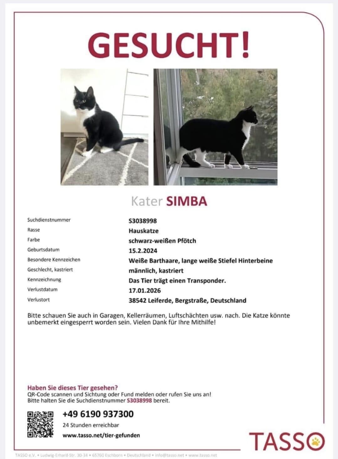 Dalldorf: Katze wird vermisst