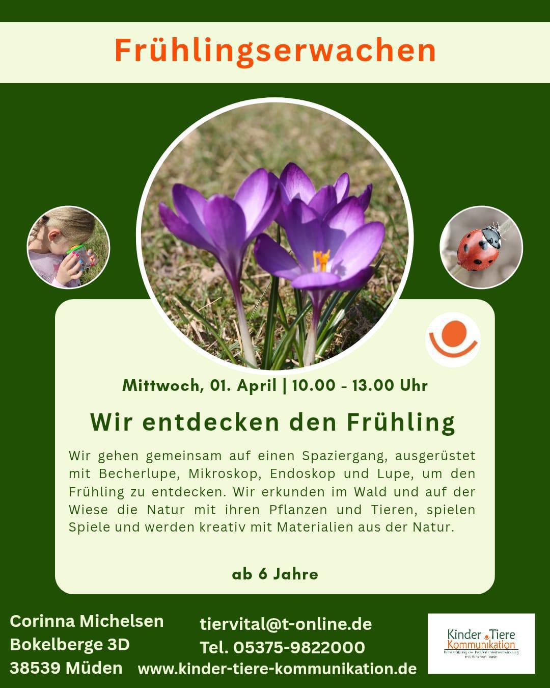 Osterferienspass Tierhof Bokelberge - Viele tolle Aktionen!