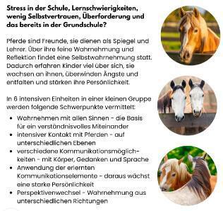 Mit Pferden lernen und wachsen - Ein neuer Kurs beginnt nach den Osterferien