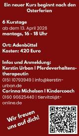 Mit Pferden lernen und wachsen - Ein neuer Kurs beginnt nach den Osterferien