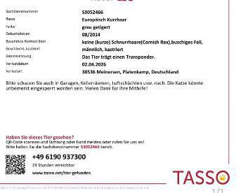 Kater Leo wird vermisst