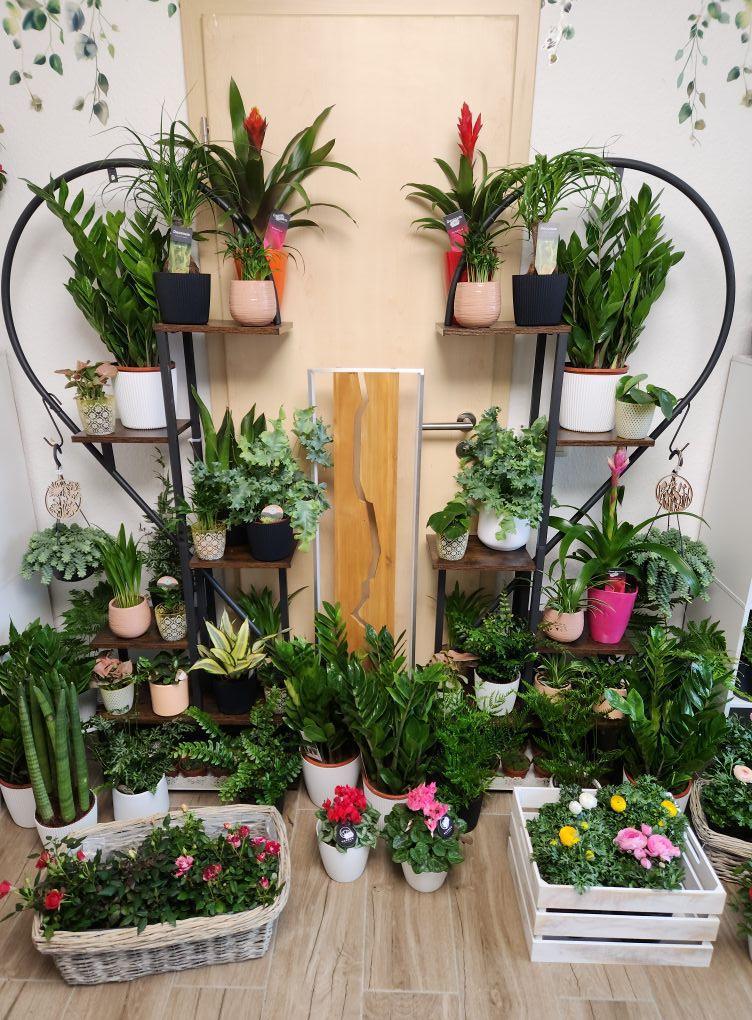 Unsere Öffnungszeiten zum Muttertag🌹 Bunte Rose By Olga 🌺