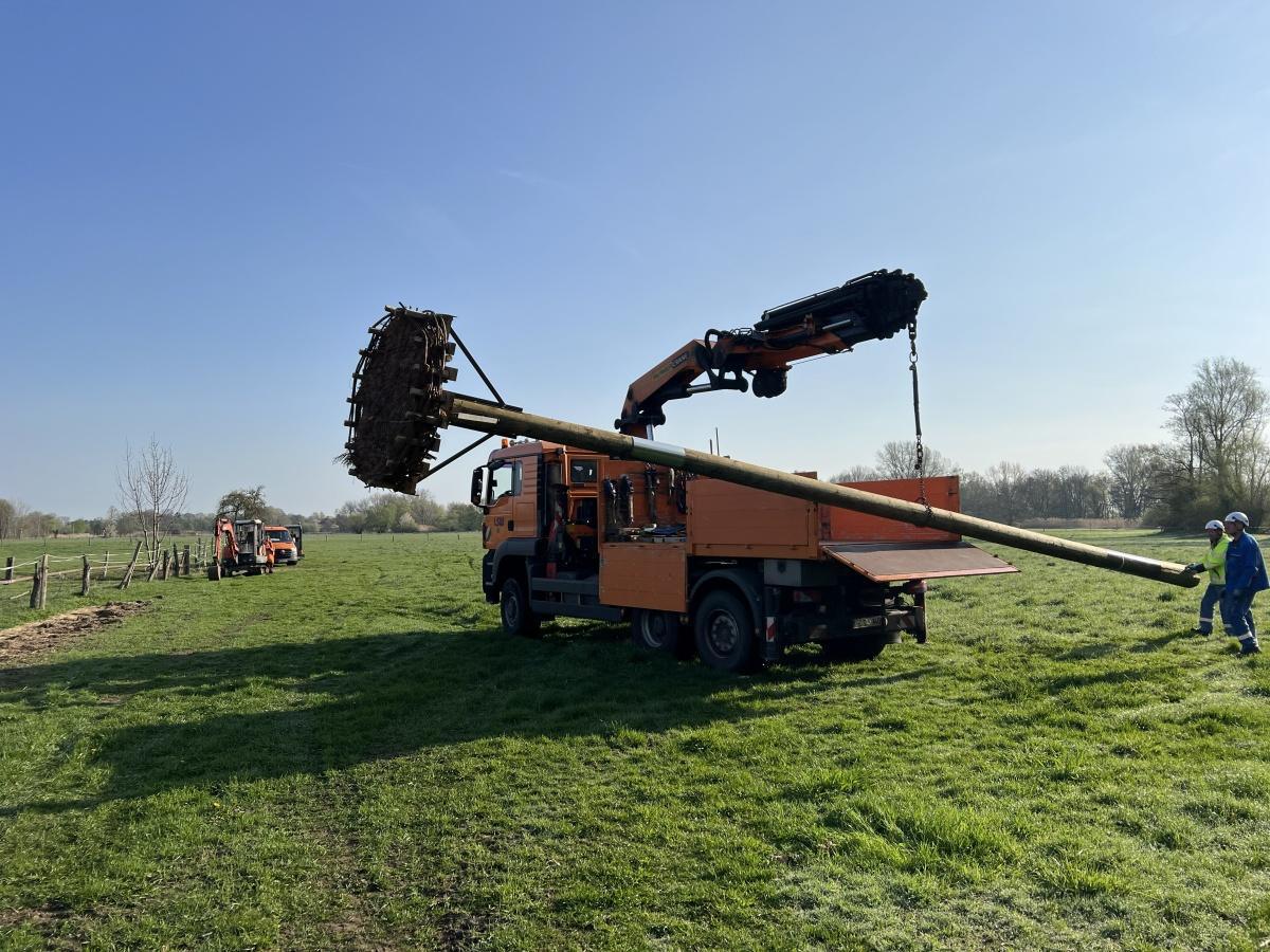 Neues Storchennest in der Gemarkung Seershausen – gelebte Tradition, moderner Naturschutz und ein starkes Zeichen für Dorfgemeinschaft