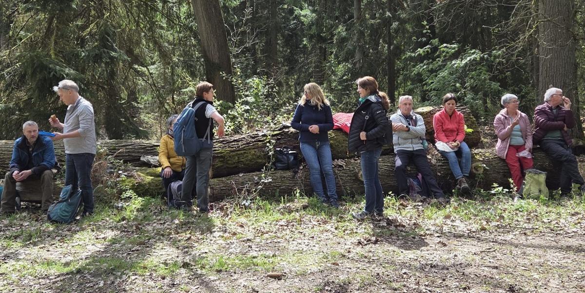 Oh wie schön ist das Burgdorfer Holz Oh wie schön ist das Burgdorfer Holz