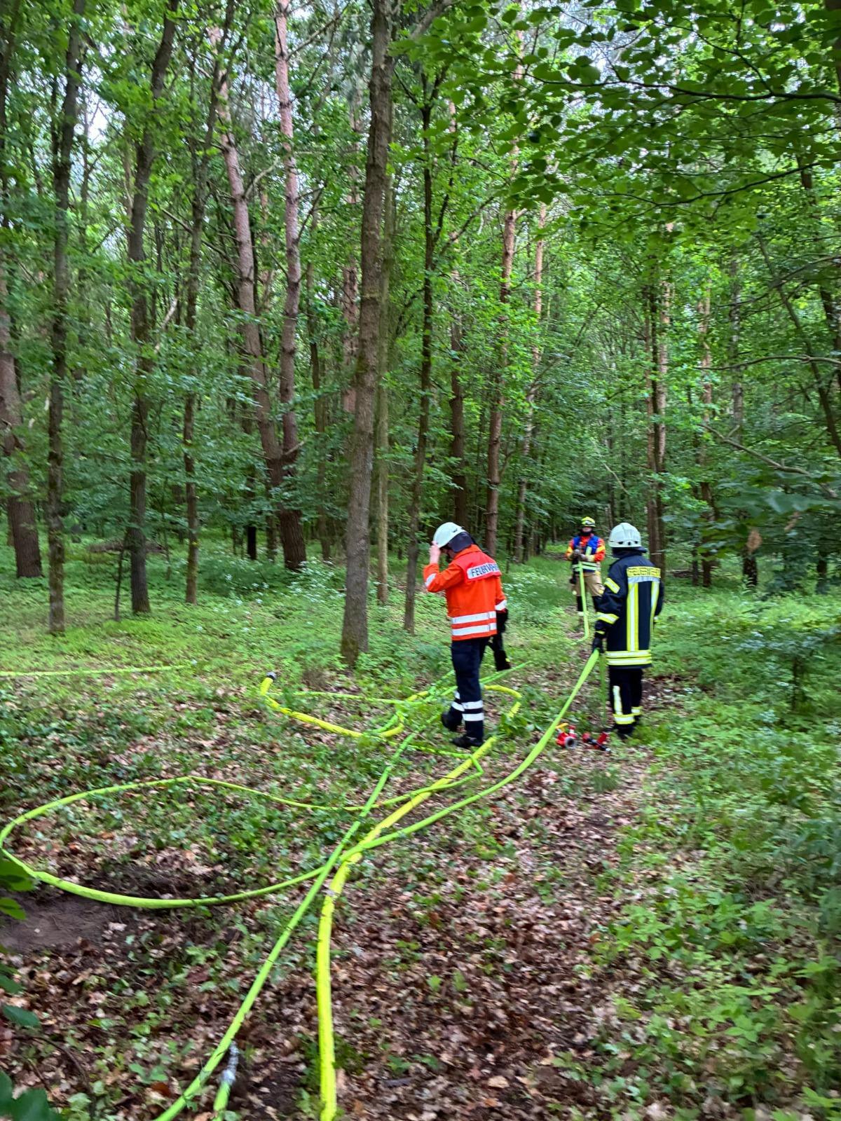 Groß angelegte Waldbrandübung westlich von Leiferde: Feuerwehren proben den Ernstfall Groß angelegte Waldbrandübung westlich von Leiferde: Feuerwehren proben den Ernstfall
