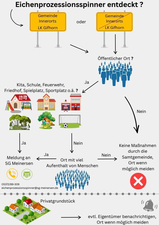 Eichenprozessionsspinnersaison im vollen Gange