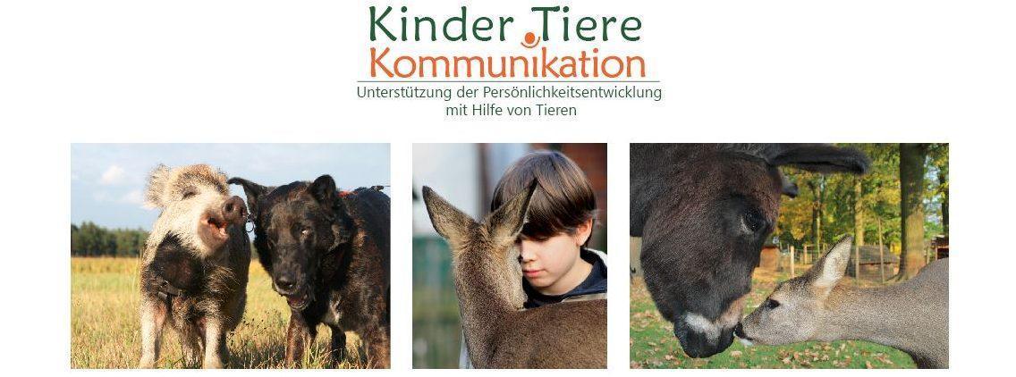 📺 SAT.1 REGIONAL zu Besuch auf dem Tierhof in Bockelberge 📺 SAT.1 REGIONAL zu Besuch auf dem Tierhof in Bockelberge