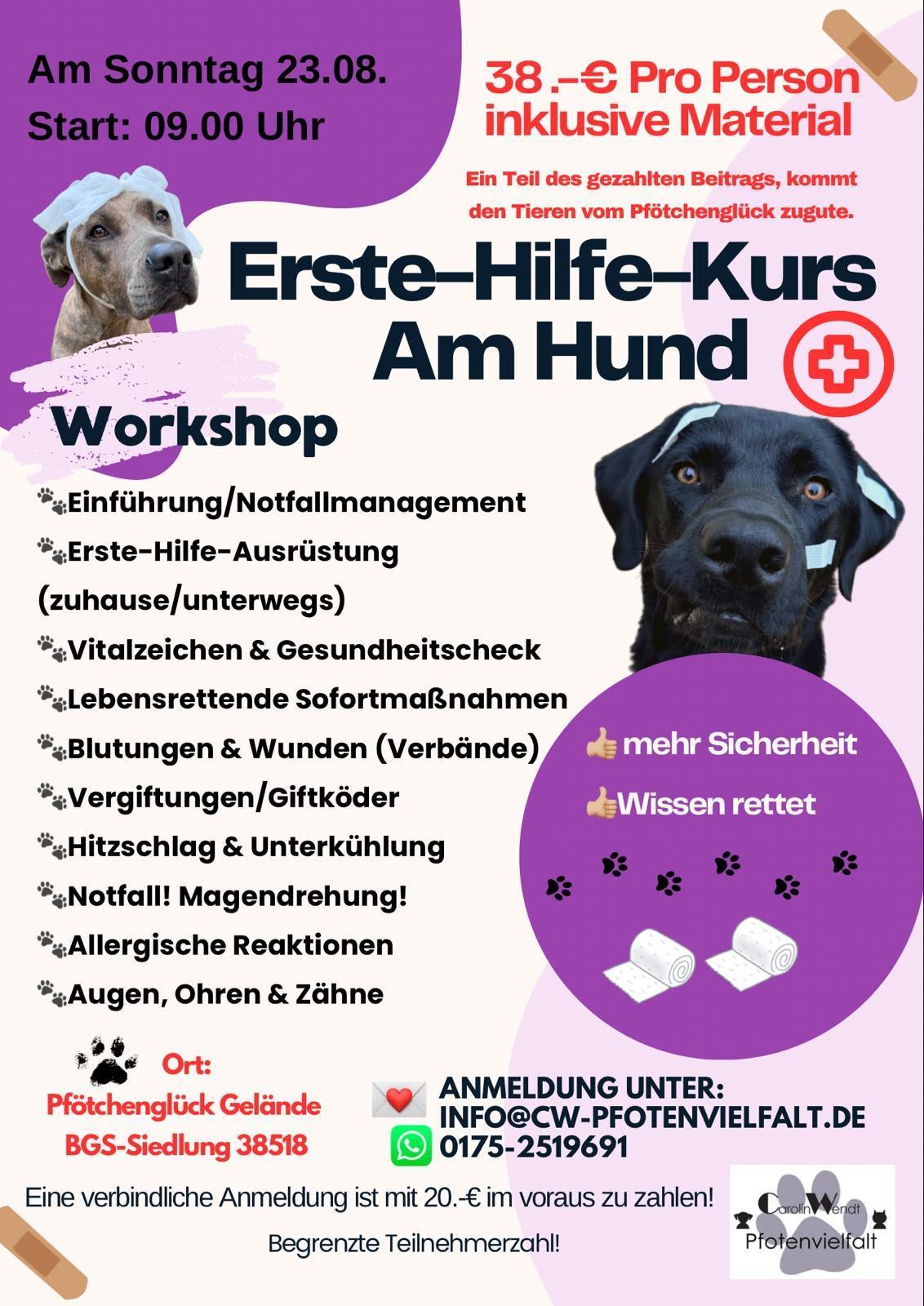Wenn jede Sekunde zählt: Lerne, deinem Hund im Notfall richtig zu helfen! 🐾❤️ CW Pfotenvielfalt aus Ahnsen 