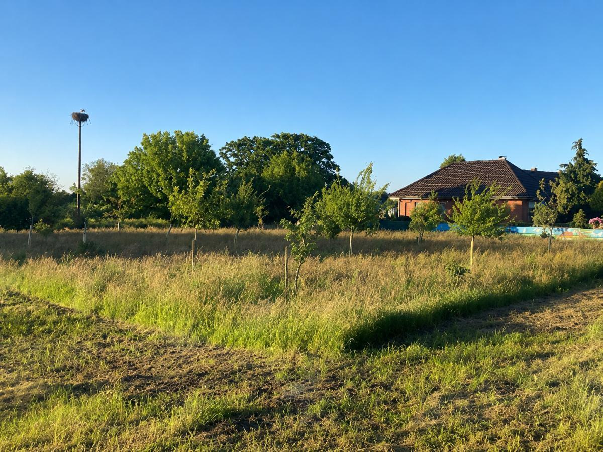 Planung des neuen Dorfplatzes für Langenklint nimmt Gestalt an Planung des neuen Dorfplatzes für Langenklint nimmt Gestalt an