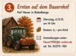 Ferienprogramm in Ettenbüttel - Abwechslungsreiche Aktionen für Groß und Klein