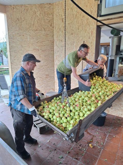 Herbstzeit ist Erntezeit: Frischer, regionaler Apfelsaft aus Seershausen Herbstzeit ist Erntezeit: Frischer, regionaler Apfelsaft aus Seershausen