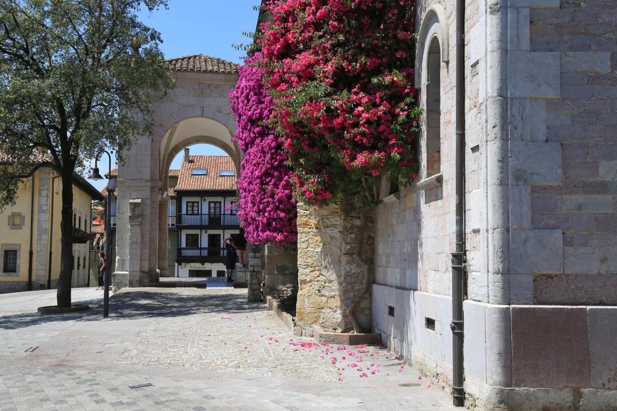 Basílica de Santa María del Conceyu Basílica de Santa María del Conceyu