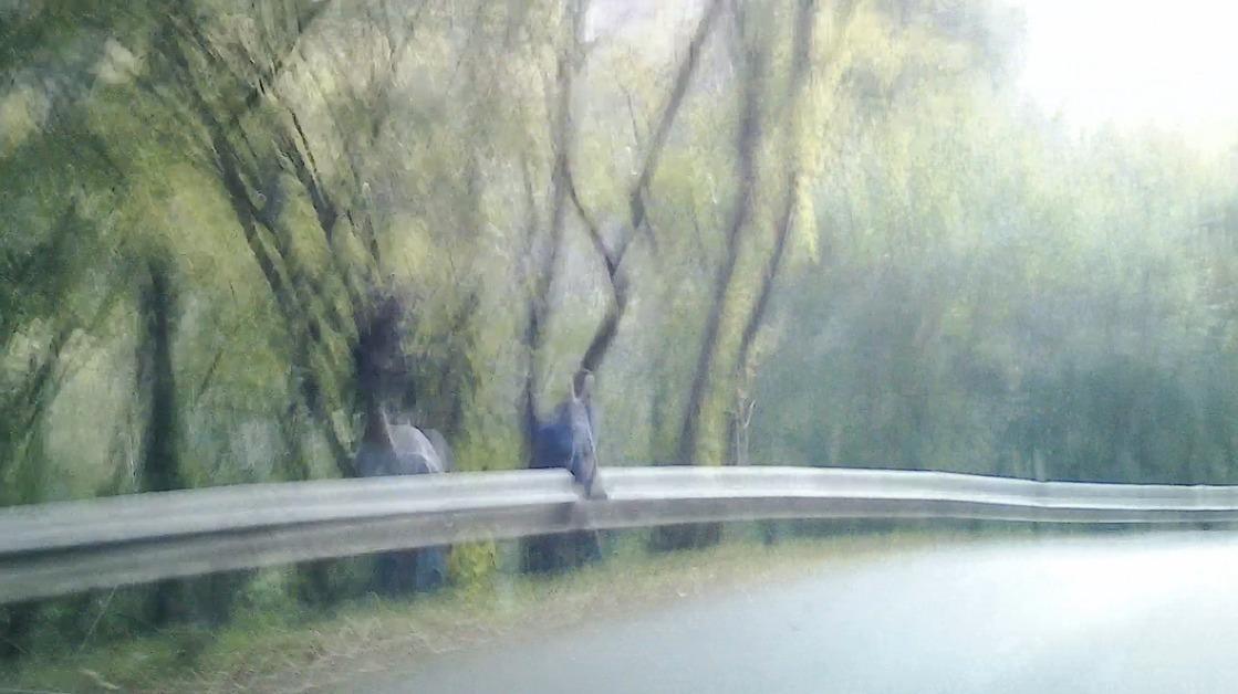 18:55 | TC3 Nueva Labra › [FOTOS] MUY URGENTE. Riesgo real de NEUTRALIZACIÓN del tramo. Dirección de Carrera: El público situado en zonas prohibidas o detrás de los guardarraíles debe buscar una ubicación segura de inmediato. 