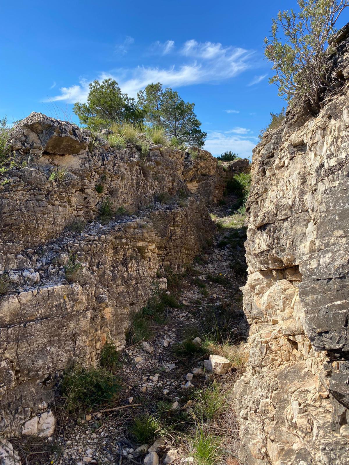 Un equipo de profesionales Un equipo de profesionales