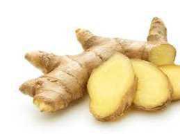 Gewürze und Kräuter in allen Phasen Gewürze und Kräuter in allen Phasen