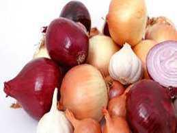 Gewürze und Kräuter in allen Phasen