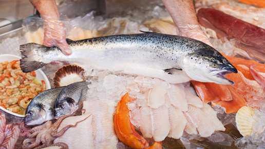 und das Besondere der Lebensmittel