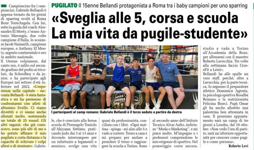 Rassegna stampa