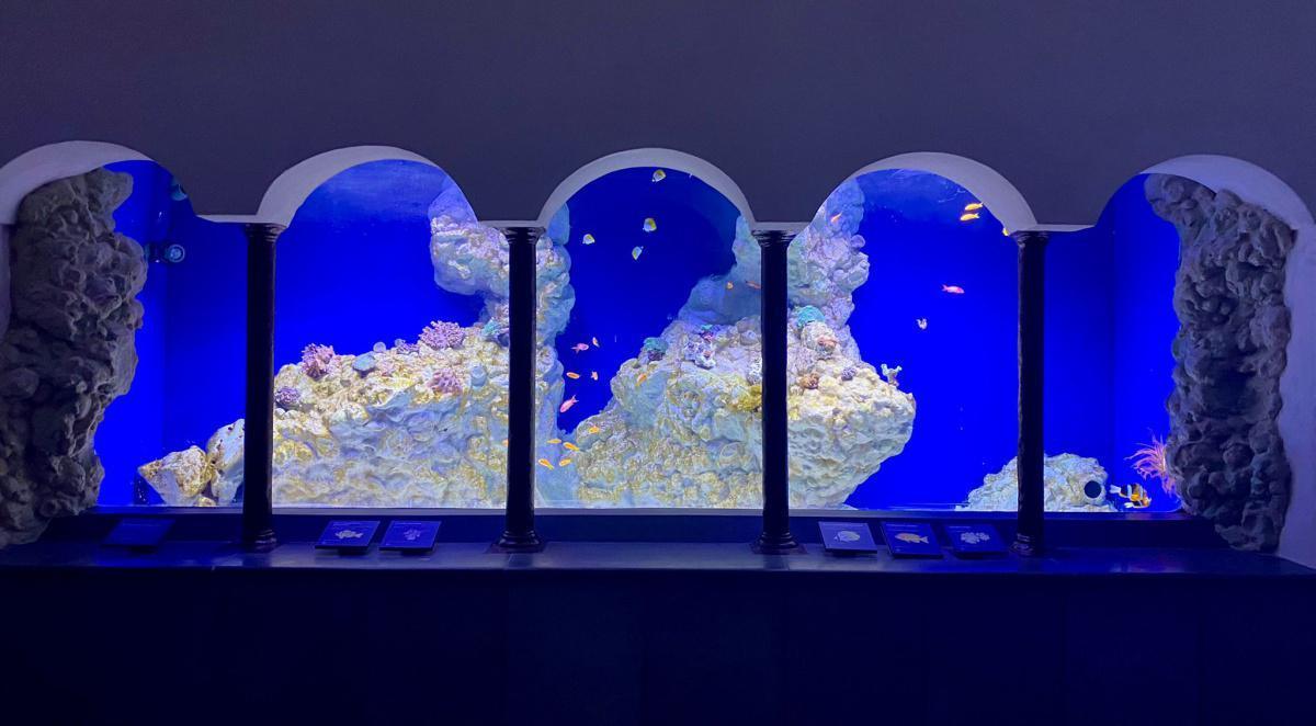 Acquario di Napoli