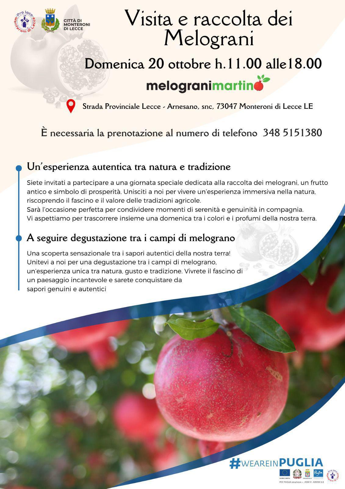 Visita e raccolta dei Melograni - Melograni Martino 
